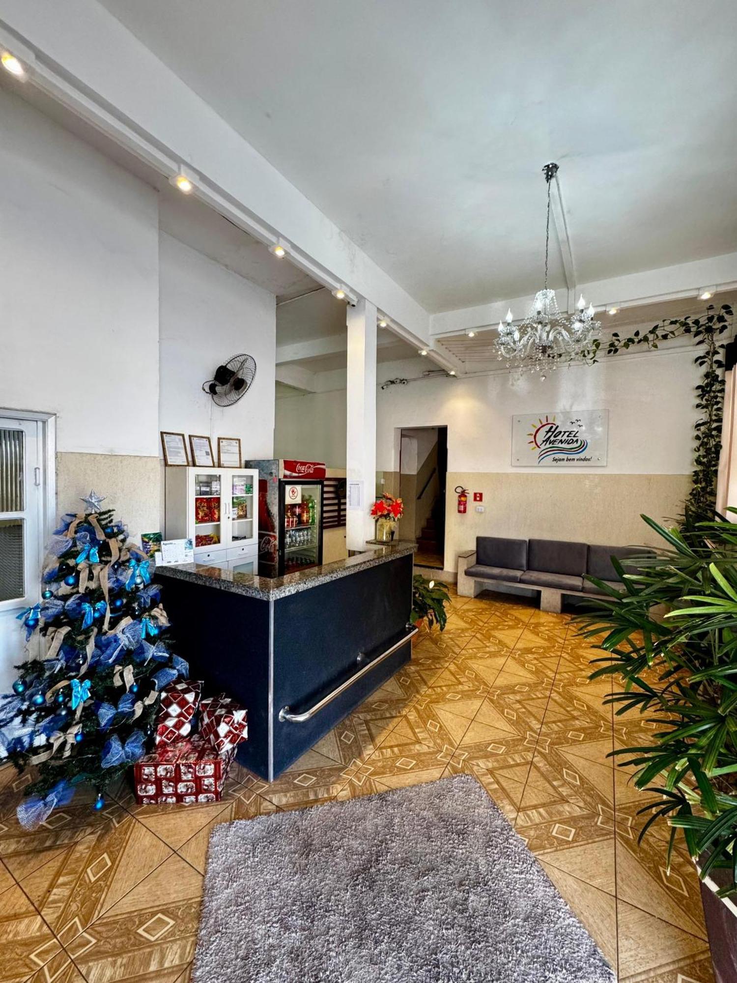 Hotel Avenida Бауру Экстерьер фото